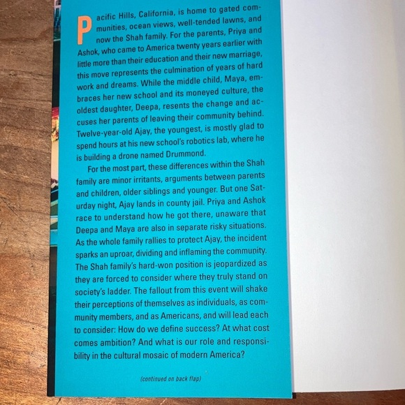 A Great Country by Shilpi Somaya Gowda - Picture 5 of 14